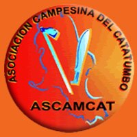 ASCAMCAT (@ascamcat) 's Twitter Profile