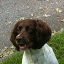 Dan Hubert - @dan_hubert - Twitter