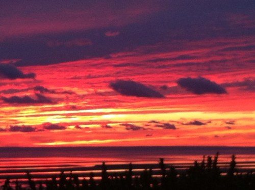 gio_neigh's profile picture. 