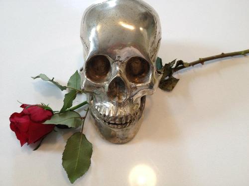 cjorme1's profile picture. Everything is relative