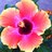 bre_reinhardt's profile image