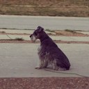 tori barnes - @toribarnes - Twitter