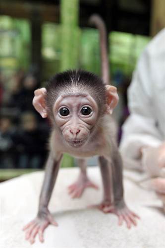 tailor_swift3's profile picture. 