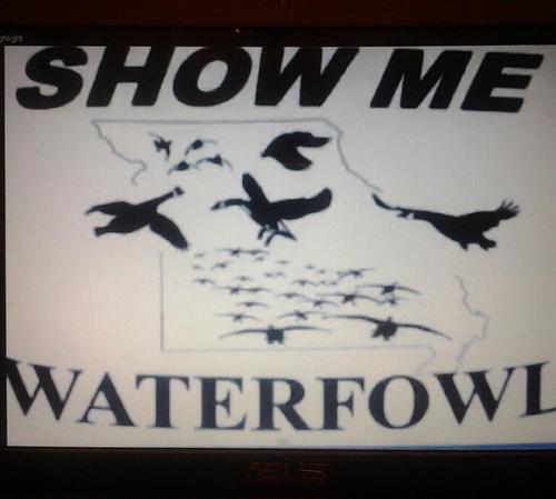 A team member of ShowMe Waterfowl out of Pleasant Hill Mo