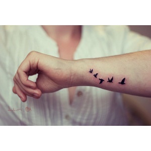 TheFraiseTagada's profile picture. If you've Never Failed, you've Never Tried Anything New.