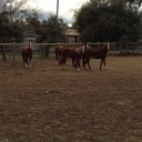 Alan L. Flint - @AlanFlint1 - Twitter