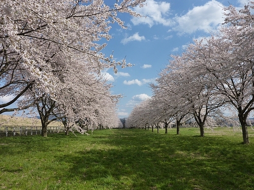 （株）桜丘住販　都立大学駅前店