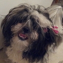 Greg Heck - @gheck911 - Twitter