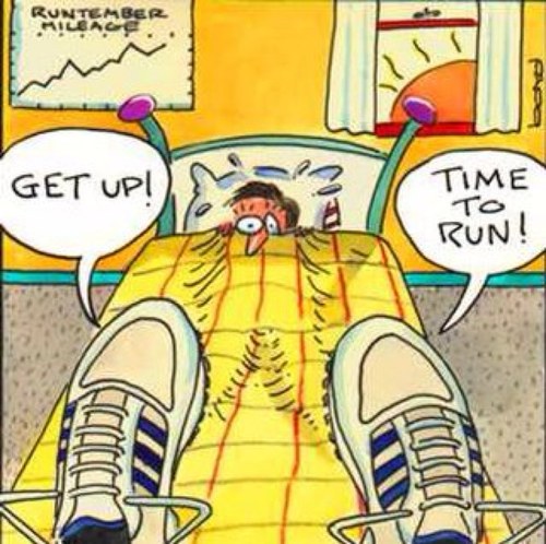 RunnersProbz's profile picture. XC and Track is Life! #RunningAlways