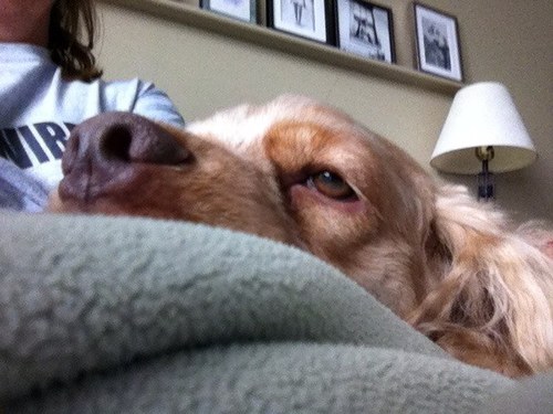 FoleyMaryann's profile picture. 