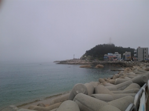 순수,열정,행복을 사랑하는 미시줌마