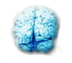 brainblog_net's profile picture. 