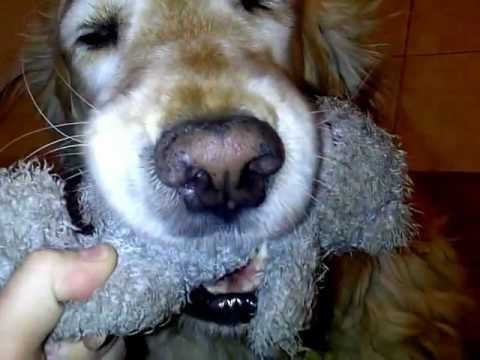 juancoco01's profile picture. 