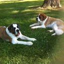 larry constantino - @larryconstantin - Twitter