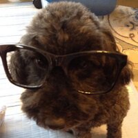 なわちん (@nawachanu) 's Twitter Profile