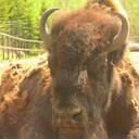 Neil sharp adze - @fador_4_prez - Twitter