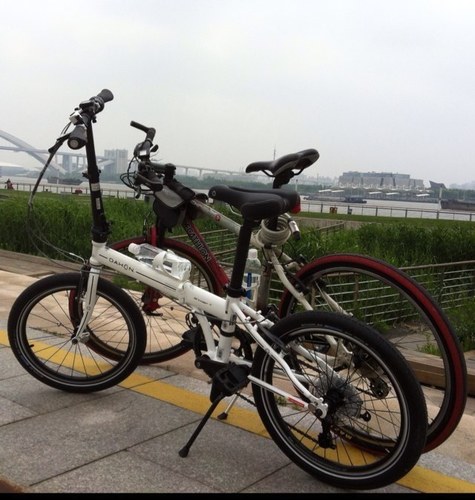 spritehy's profile picture. 