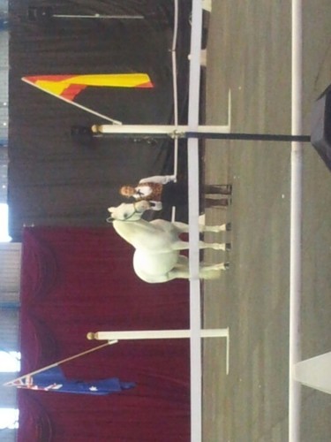 LCherrieripebar's profile picture. 