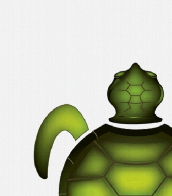 turnturtle's profile picture. Kiteboarding R&D Company