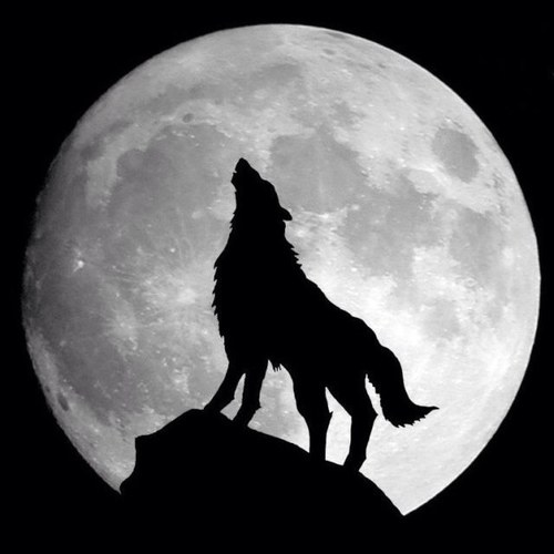 s_c_brooks's profile picture. 