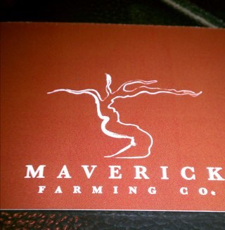 JimStollberg's profile picture. 