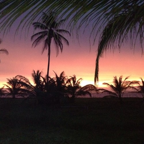 coyipanama's profile picture. EVP Risk Management