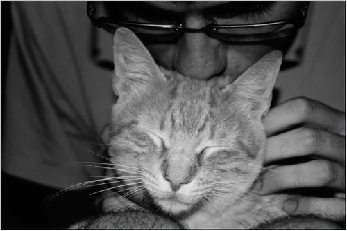 JoseAntSamper's profile picture. 30. GatoCaféLibroCine... y poco más...
TeQuieroA