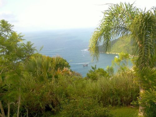 ChokoFr's profile picture. #women  #livesexcams #booty