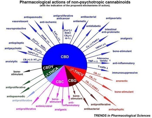Raw Dietary Cannabis: complete diet, prevents aging, nonpsychoactive/UN families starve w/o Hemp/Support @CannabisInt legalize Carbon capturing & save species