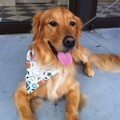 DannyO64's profile picture. 