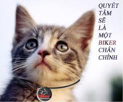 Nơi Các Bạn chia sẽ thông tin -cuộc sống-kinh nghiem - khát vọng - video - hình ảnh - phần mền- game -tiện ích game . Newsgame.vn = Thế giới của bạn của tôi