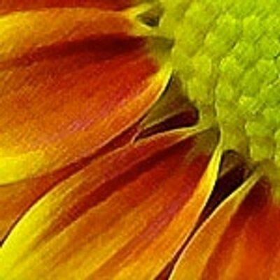 About numerology number 33 picture 5