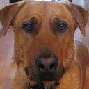 Ryan Patrick - @WalkingSoma - Twitter