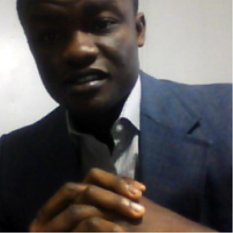 Experienced Renewable Energy and Power Systems Engineer