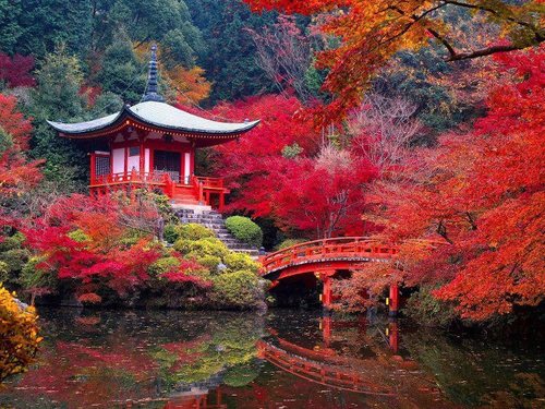 Life is really simple, but we insist on making it complicated.