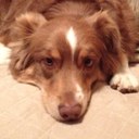 dawn chaffee  - @mamachafe50 - Twitter