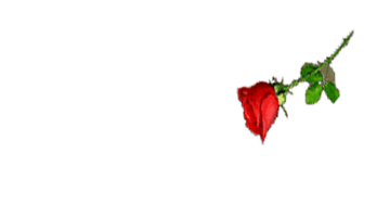 cheberaal's profile picture. 