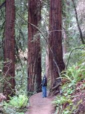 bulshavix6's profile picture. Paradise Valley