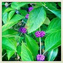 anna wunderlich - @wundy1 - Twitter