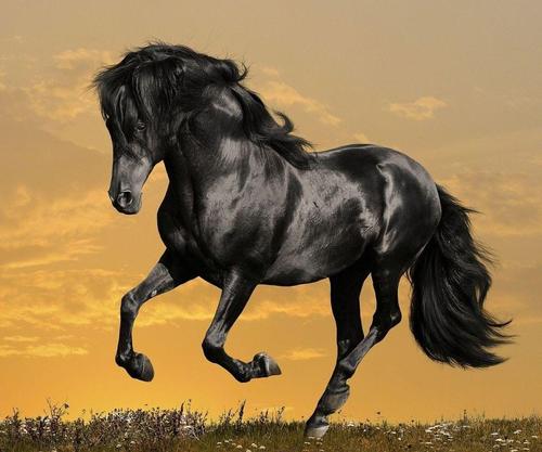 414YUALLEN's profile picture. Make an impact where you are and let the ripples do the rest.  

Resonate with it!!!