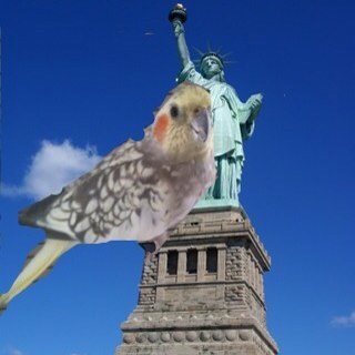 bebebebe10255's profile picture. Cik cik