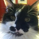 pam cooley - @CooleyPam - Twitter