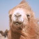 Avinash - @avi_misra - Twitter