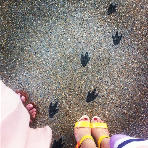 macaenyuki's profile picture. 