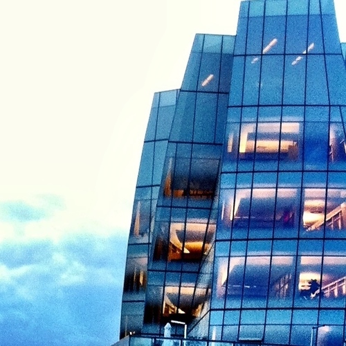 Intellectual Property Lawyer