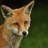 DaveHaylock's profile image