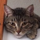 William Everhart - @WillieEverhart - Twitter