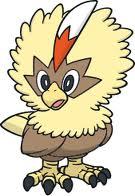I'm a Shiny Rufflet. Trainer: @Dialovesdonuts. I won't disappoint!