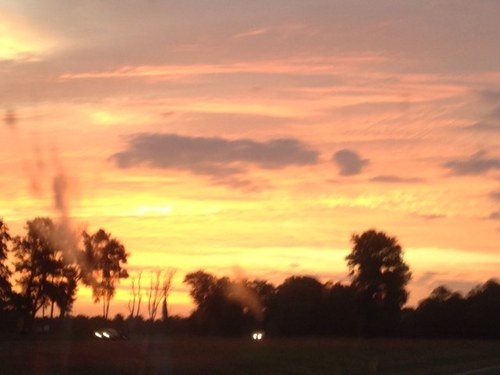 markmaxwellscg's profile picture. 