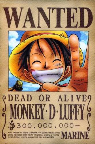 Amo One Piece!